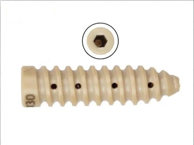 Close-up of a beige plastic screw with a hexagonal socket head and threaded body.
