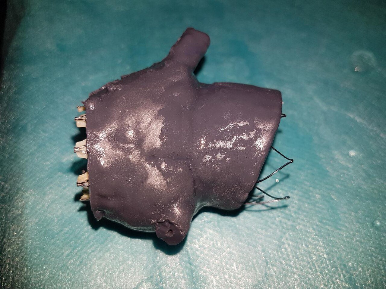 3D-printed aortic model